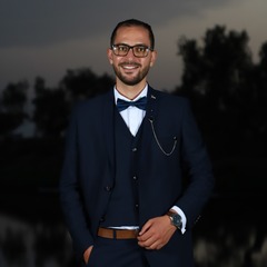 Mohamed Achraf Besbes, Web Developer