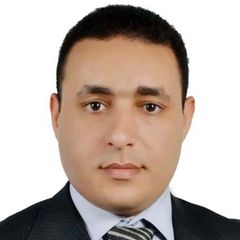 Ayman Ali Sharara, System Administrator