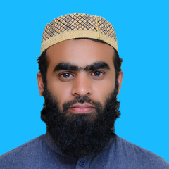 Abdullah Zaki, Sr Land Surveyor