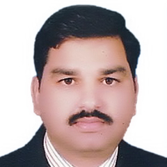 Satya  Prakash , CAD Group Leader Structures