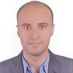 Mohamed Sayed, Internal Auditor