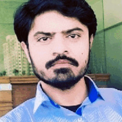 Syed Hasnain Murtaza