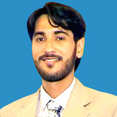 Mian Muhammad Majid Ali