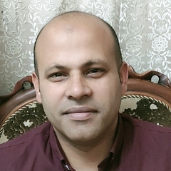 mahmoud shaalan, Project Manager