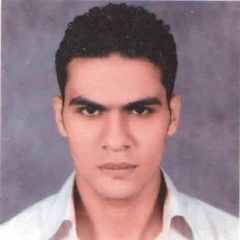 Mustafa Saber Mohammed Ibrahim Elbasha