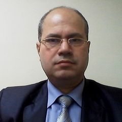 حسام الدين سعد فسيخ فسيخ, Financial Manager