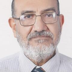 Nabil Hassan, Financial Advisor