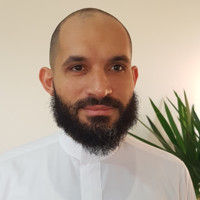 ahmad Mohamed Al-Hady الشريف, Solution lead architect 