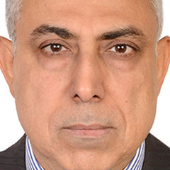 Hesham mohamed Salah Shaaban Mohamed, DIRECTOR OF INTERNAL AUDITOR