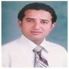 Farhan Ahmed, Executive