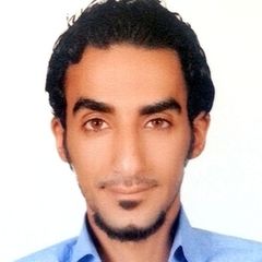 Amr Saif Ahmed AL-bukari, مطور برامج