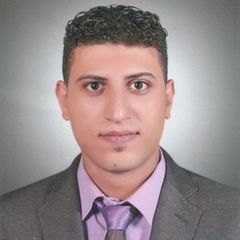 Mahmoud Elsayed AbdElaziz Elnagar, محاسب مشروع