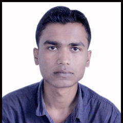 phurkan Ali, Manual Tester