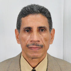 عبد الفتاح عباس, مهندس استشارى معمارى