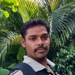 Thirunavukkarasu   R, inspector civil