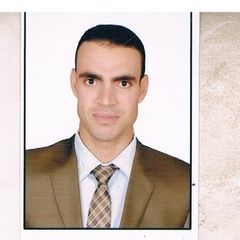 Hany Ramadan Ahmed Abd El Haffiz, موظف مبيعات