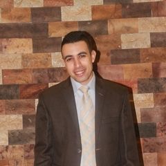 محمود محمد السباعى, IT Specialist