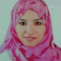Asmaa Mohamed, Research Associate