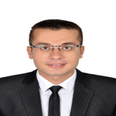 Mahmoud Hanafy, Structural BIM Coordinator
