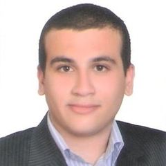 Mohamed Abd El Salam, Accountant