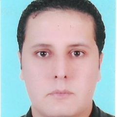 Amine El Boujdaini, Tutoring Assistant