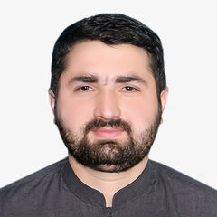Syed Ammad Hussain Shah, IT Support Engineer