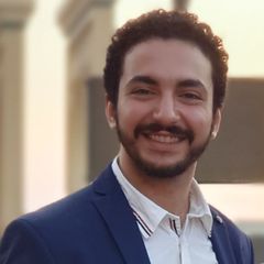 عمر منصور, Executive Development Architect