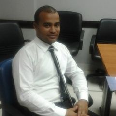 Ali Mohammed Hassen Abdel-wahed, IT Engineer