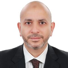 Mohamed Abouelella, Principal Auditor