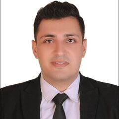 Mohamed Fathy, مساعد محامي