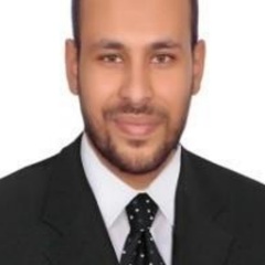 ahmed mohsen, Construction Manager