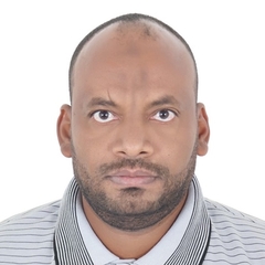 Mohammed  Abd Alrahim Hassan, مدير قسم التدقيق الداخلي 