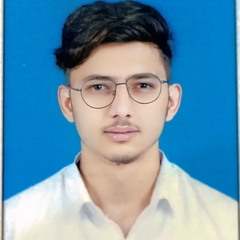 Mohammed Ayan  Lulaniya