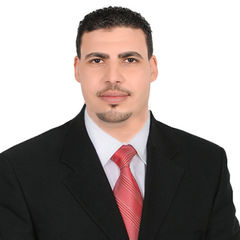 Sameh Nabil Abdelhady Abdelfattah, Finance Manager