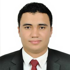 Moustafa  Abdelsattar, Senior accountant