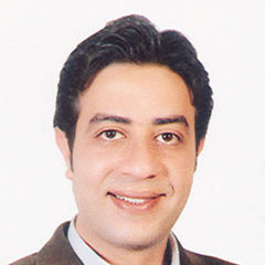 ahmed elshanawany, Freelance Lawyer