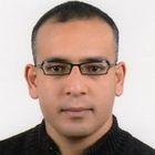 Mohamed Omar Elfarouk Awad Elsaid, Consultant team leader