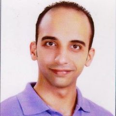 Ahmed Soltan, Import Manager