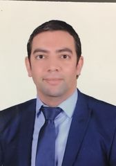 Amr abdelrahman Nada, Senior Masterdata Management Analyst