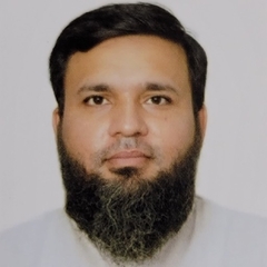 Hafiz Malik M Zeeshan