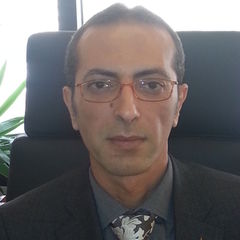 ayman refaat, Financial Manager