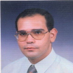 Amgad Youssef Nasef Youssef, Area Maintenance Manager