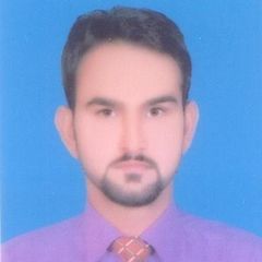 Fawad Syed Gillani, Services Co-ordinator