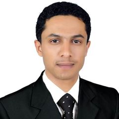 Hussein Mohammed Ali  Ebrahim, مراجع حسابات