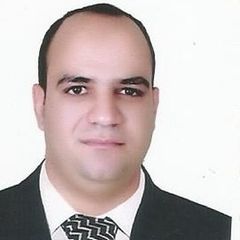 mohamed ibrahim, Manager