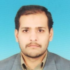 muhammad mohsin, Power services officer