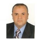 Amr Ali Ali Sultan, Project Manager