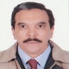 Mohsen Hussein, Technical Translator