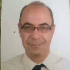 Ayman Bassiouny Bassiouny, أستاذ مشارك في الوثائق والمحفوظات