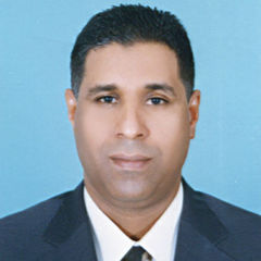 محمد عبد الهادي, Assistant Professor